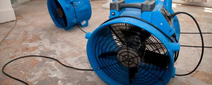 water damage service