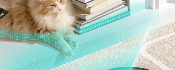 Cleaning Routine